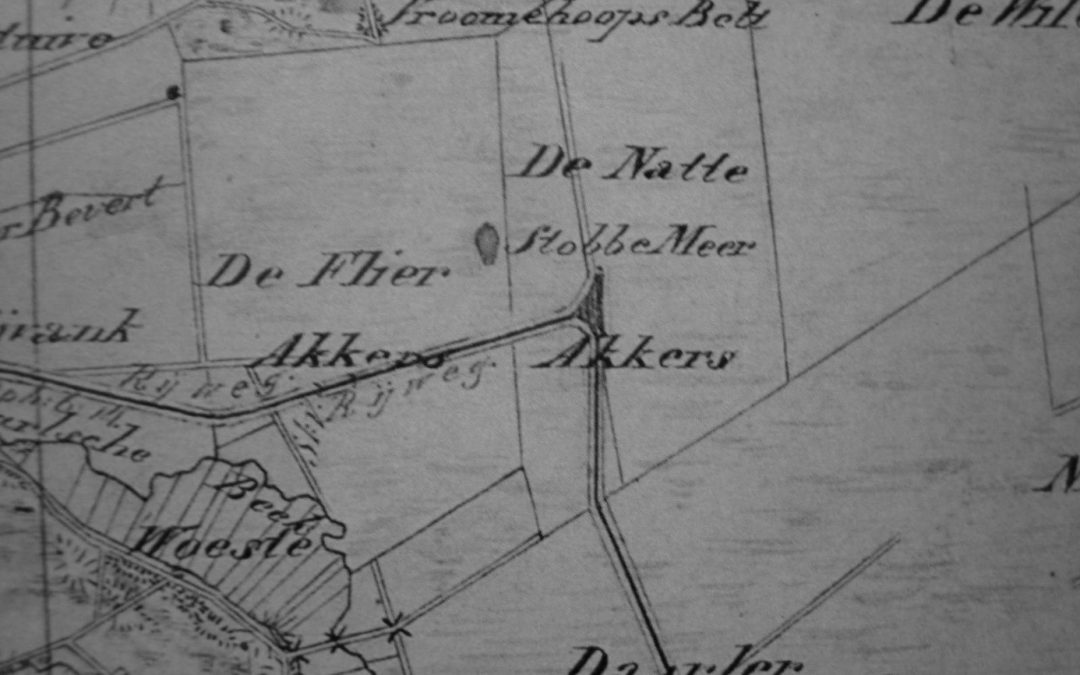 Van Levensader tot Catastrofe
