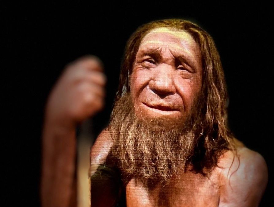 De Neanderthalers